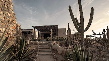 Jardin