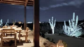 Vườn
