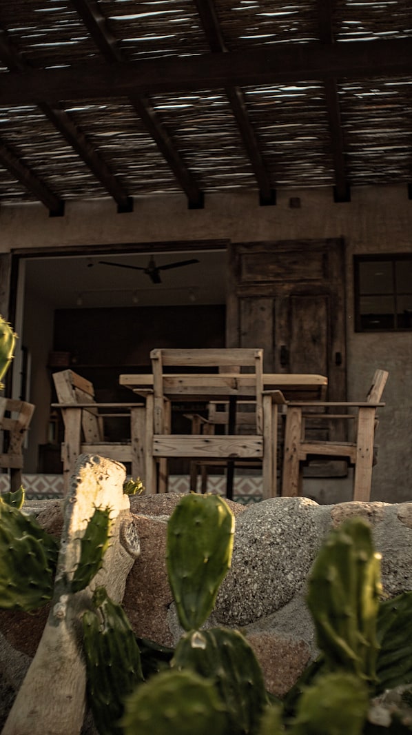 A rustic interior with wooden furniture and a cactus in the foreground.