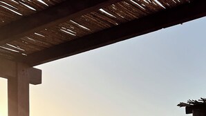 A desert garden with cacti and a wooden pergola. - Desierto Azul (Todos Santos)