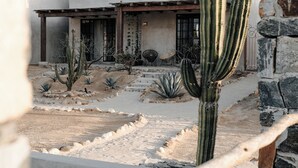 A desert landscape with a large cactus in the foreground, a stone wall, and a building with a flat roof and a door. - Desierto Azul (Todos Santos)