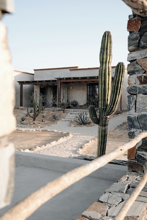 Exterior - Desierto Azul (Todos Santos)