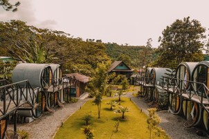 Jardín