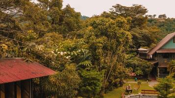 A lush garden with a red-roofed building, a gravel path, and a seating area with chairs.