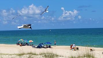 在海滩、沙滩椅、沙滩毛巾