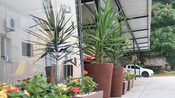 Una fila de macetas grandes con plantas y flores frente a un edificio de fachada de vidrio.
