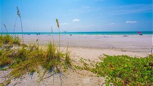 A beach with sand, sparse vegetation, and a clear blue sky. - Beautiful Beachfront Home with Private Pool/ Firepit /on the Gulf (Indian Rocks Beach)