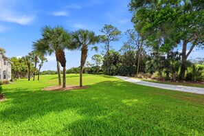 A well-maintained grassy area with palm trees, a paved path, and a building on the left.
