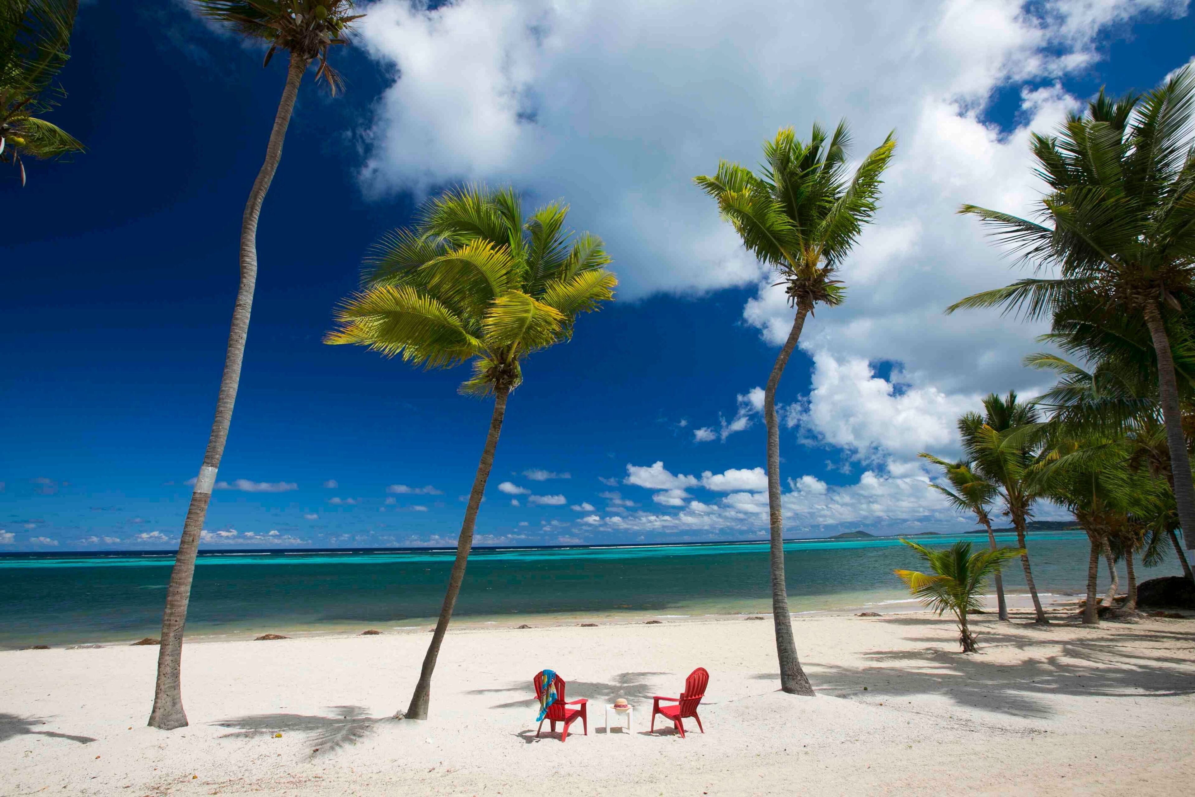 Plage, chaises longues, serviettes de plage