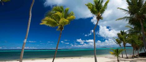 Plage, chaises longues, serviettes de plage