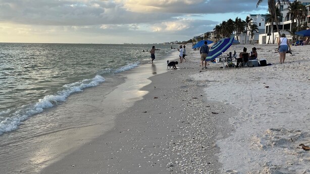 Una playa con arena, palmeras y algunas personas.