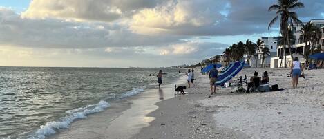 Plage à proximité, chaises longues, serviettes de plage
