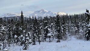 Uma floresta nevada com uma montanha ao fundo.