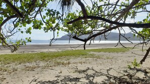 Una playa con un árbol en primer plano, un área verde y vistas al océano y montañas distantes.