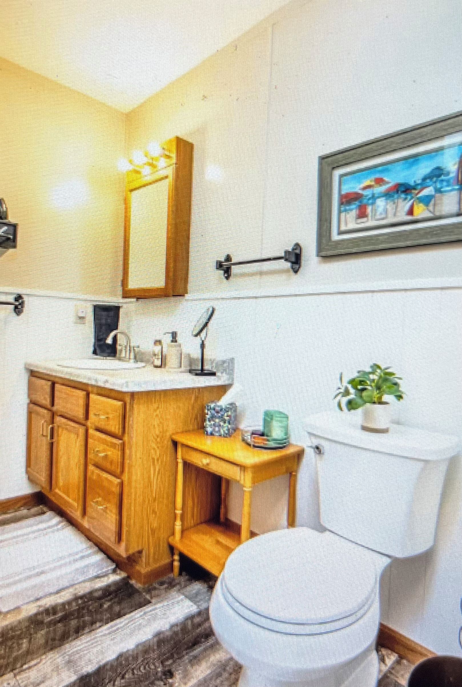 Une salle de bain avec un meuble-lavabo en bois, des toilettes, une petite table avec une plante et un tableau encadré au mur.
