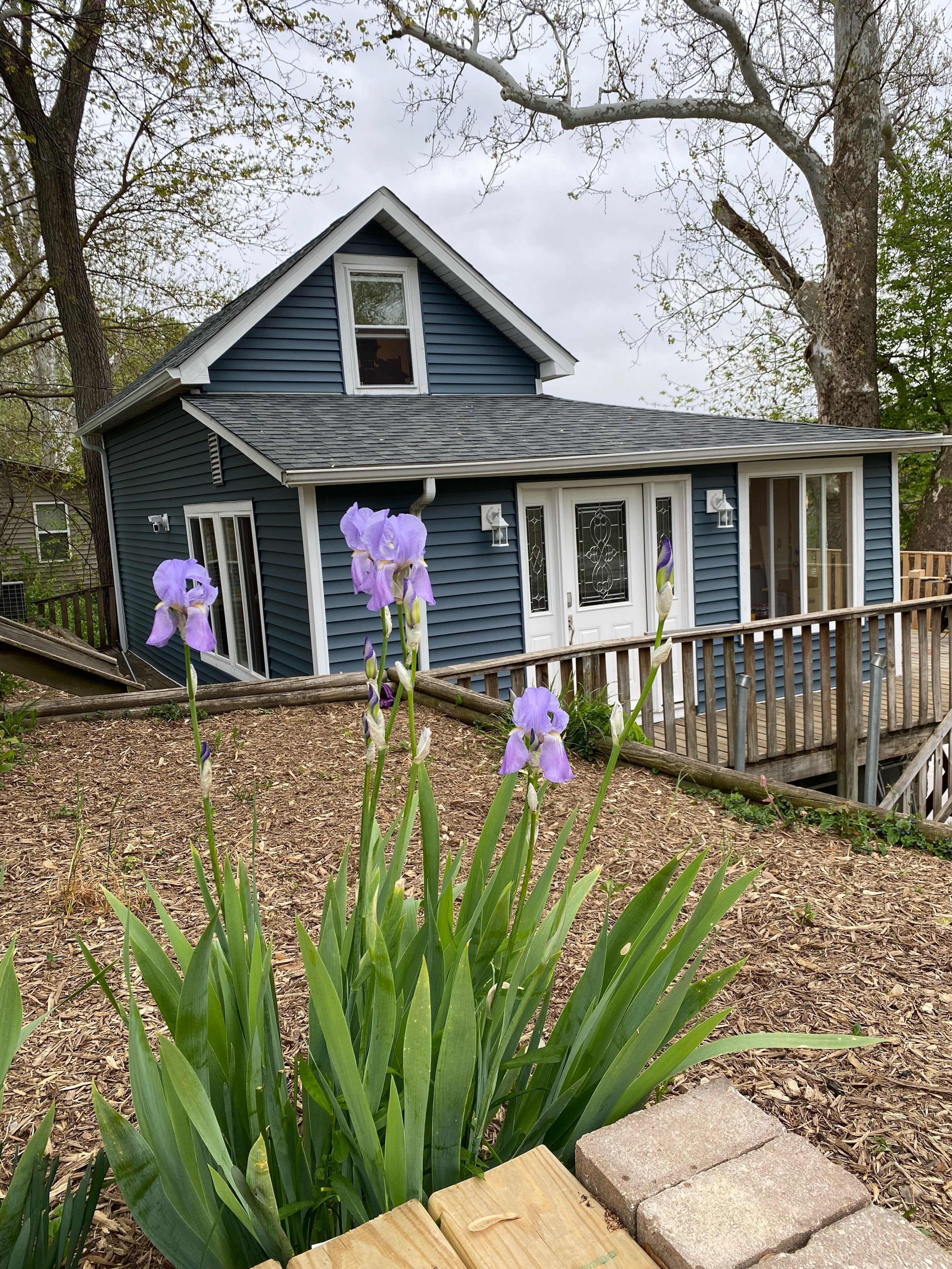Spring at the Cottage