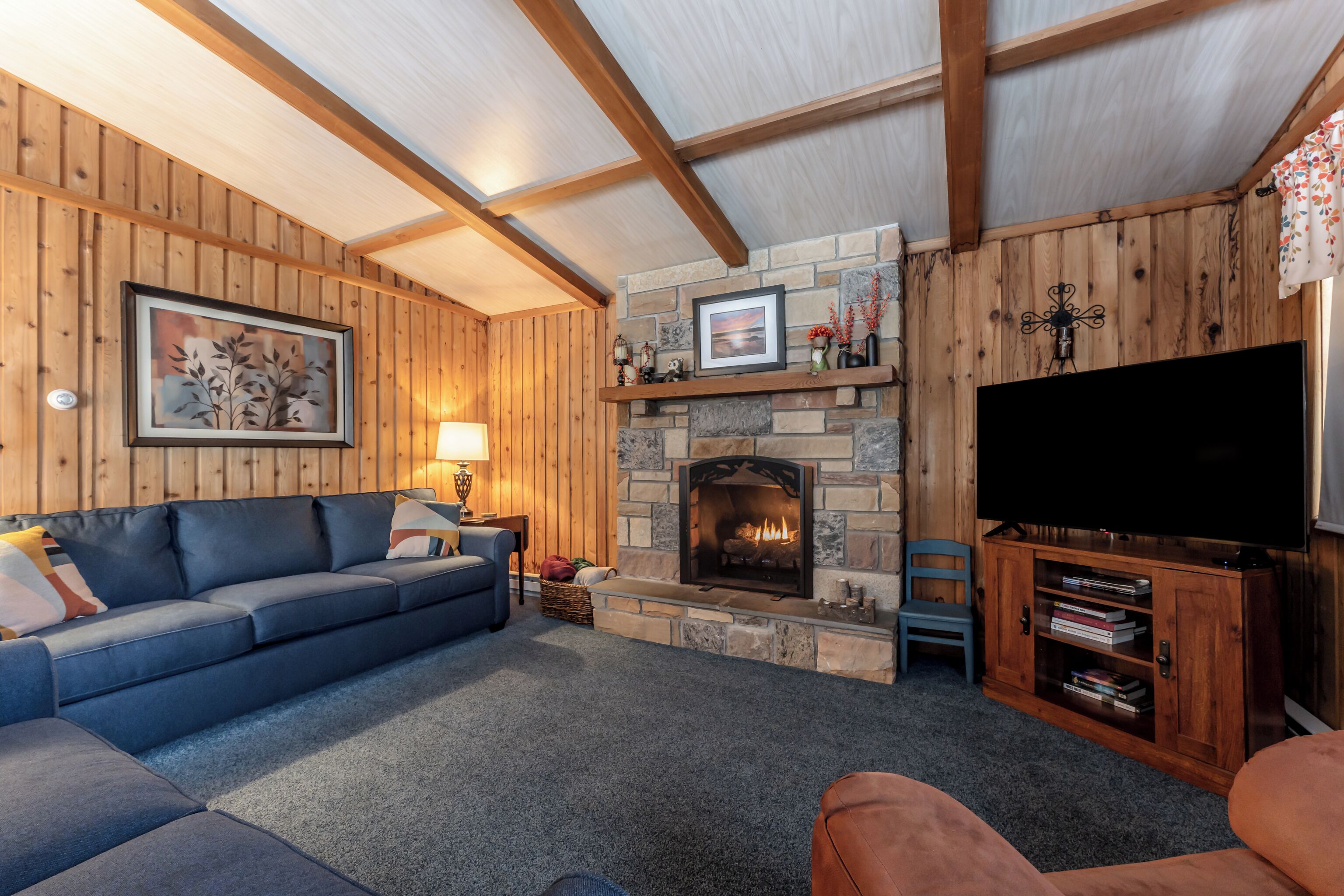 Smart TV, chimenea, libros y estéreo 