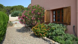 A house with a gravel pathway leading to a wooden door, surrounded by various flowering plants and a well-maintained garden. - Sol i Vent - L'Estartit, Torre Vella (Estartit (L´))