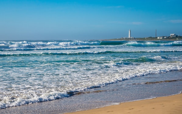 Windsurfing, surfing/bodyboarding