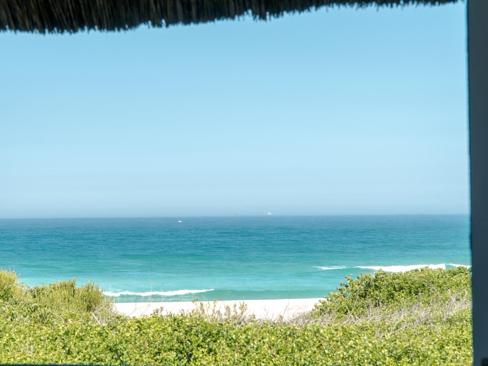 Vista de una playa con cielo despejado, océano y vegetación.