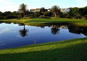 A golf course with a pond reflecting palm trees and houses in the background. - Beach Break Guest Houses and Villas (Cape Saint Francis)