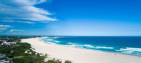 Windsurf, surf