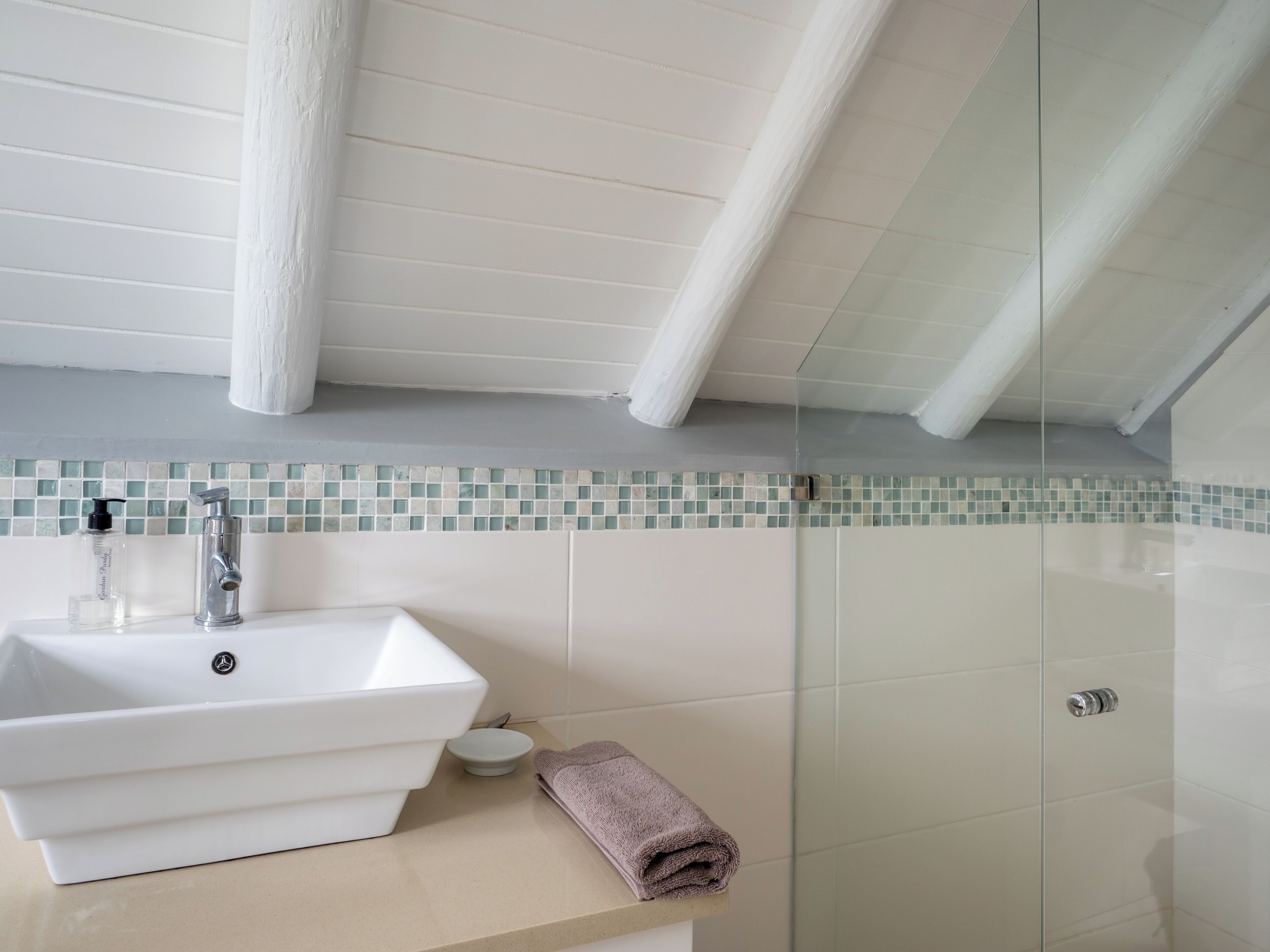 Executive Villa | Bathroom
