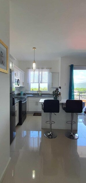 Fridge, microwave, oven, stovetop - Luxury Apartment In Kingston Centrally located (Kingston)