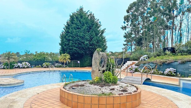 A pool with a circular stone border and a central rock feature, surrounded by a landscaped garden with various plants and trees.