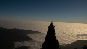 Un paysage côtier avec la silhouette d’un arbre imposant se détachant sur un ciel dégagé, le tout entouré de nuages.