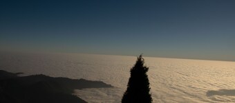 Wilderness Retreat campsite  in the forest w/ Alpine tents as your accomodation,