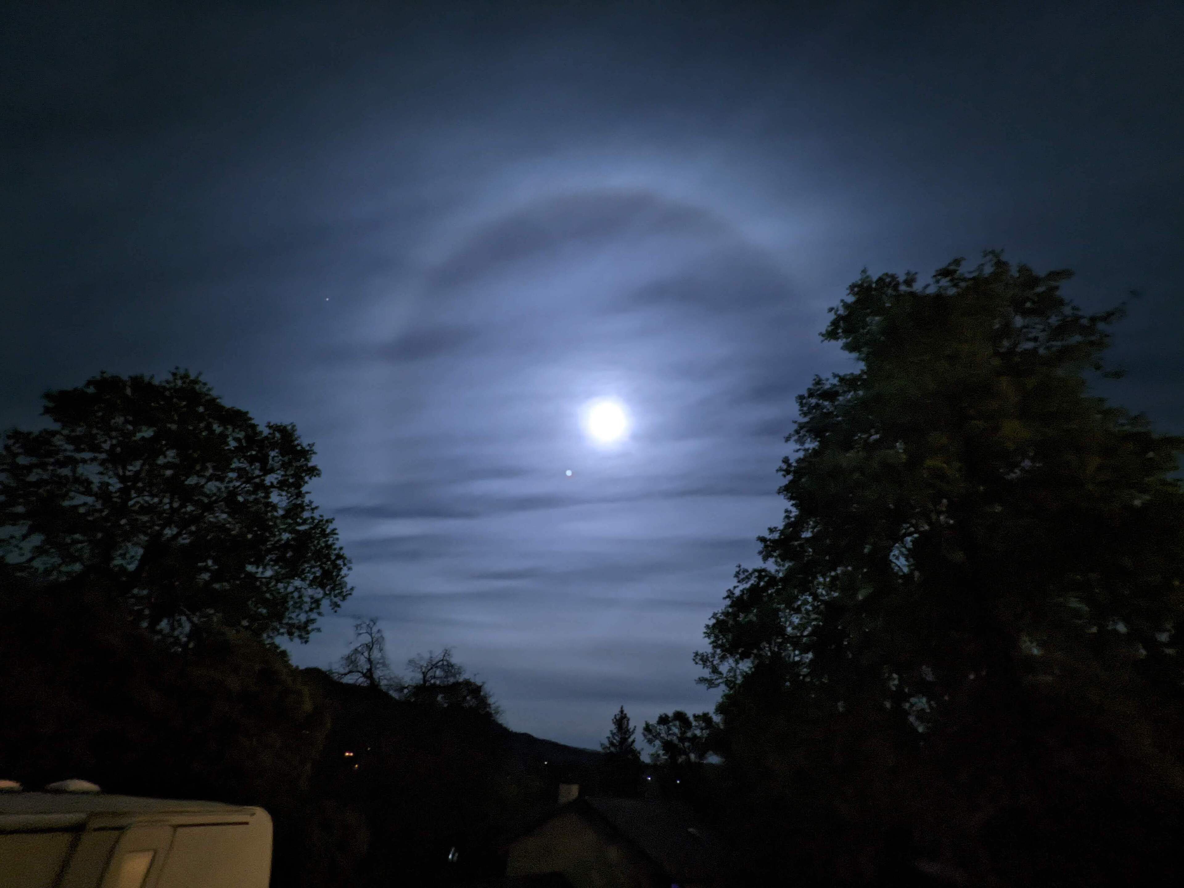 Un ciel nocturne avec une lune visible et les silhouettes d’arbres.