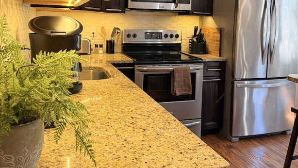 Una cocina con armarios de madera oscura, electrodomésticos de acero inoxidable, encimeras de granito y una planta en maceta.