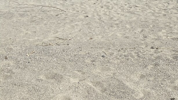 Ein Strand mit blauem Himmel und ruhiger See.