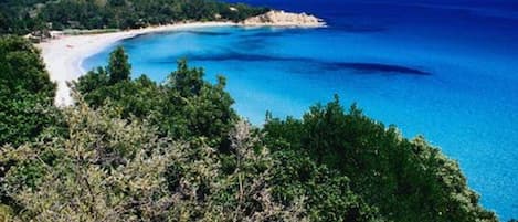 Playa en los alrededores