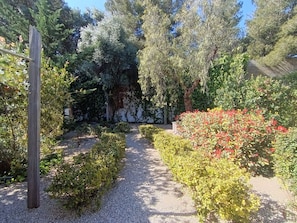 Ein Garten mit Kiesweg, verschiedenen Sträuchern und Bäumen.