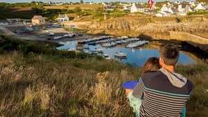 A coastal scene with a marina filled with boats, a couple sitting on a grassy hill overlooking the water, and houses in the background.