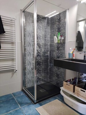 Shower, bidet, towels, toilet paper