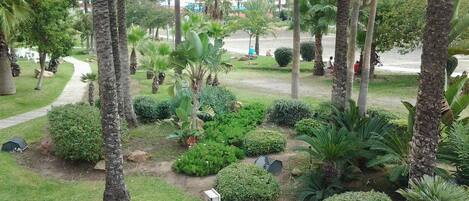 A well-maintained garden with palm trees, various shrubs, and a paved walkway.