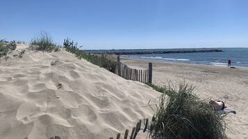 Plage, chaises longues