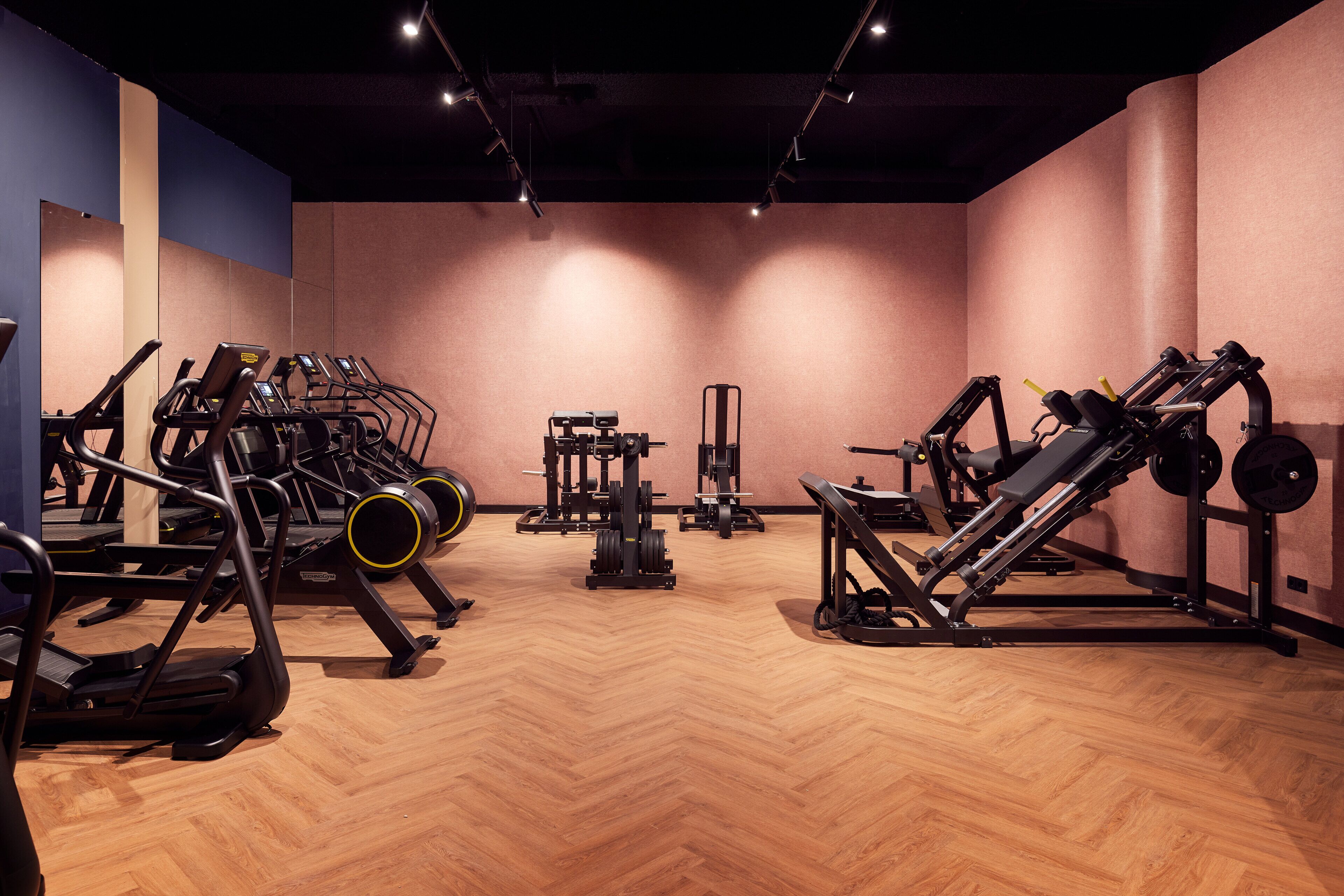A gym with treadmills, weight machines, and free weights.