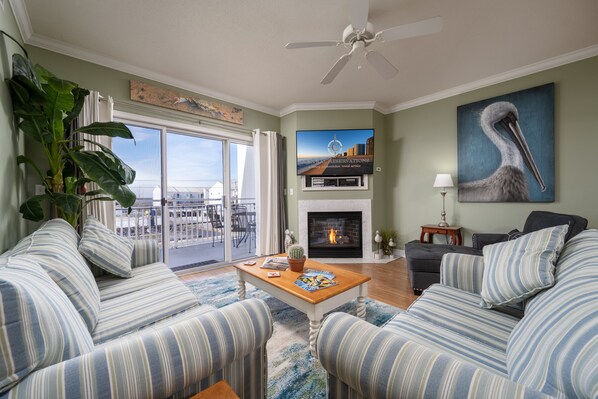 电视、壁炉、DVD 播放器