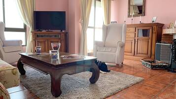 Een smart-tv, een open haard en boeken