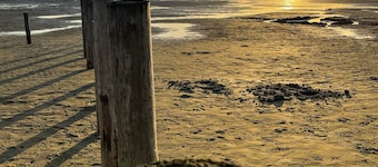 Cozy little vacation apartment Deichgeflüster