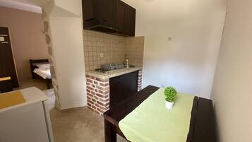 A compact kitchen with a brick accent wall, a small sink, and a dining area with a table and a potted plant.