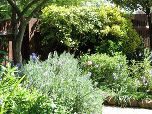 Property grounds - City Haven 10 min walk Cathedral & City + Netflix (Salisbury)