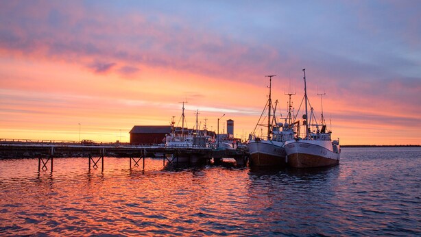 Satamassa auringonlaskun aikaan, useita kalastusaluksia on ankkuroituna laiturissa.