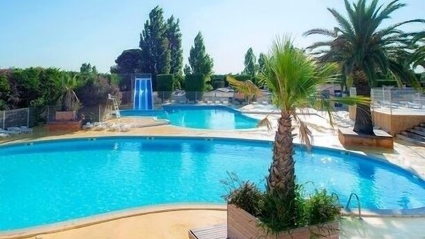 Une piscine avec un toboggan, entourée de palmiers et sous un ciel dégagé.