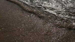 Une plage où les vagues déferlent sur le rivage.