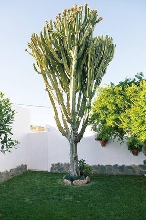 Property grounds - Casa Lola - House N1 in Zahora (Zahora)